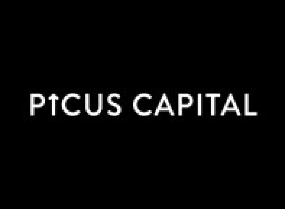 Logo Picus